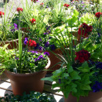 containers1