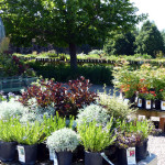 front_display2