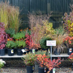 front_display4