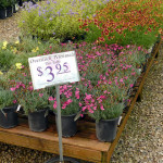 overstock_table