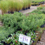 overstock_table